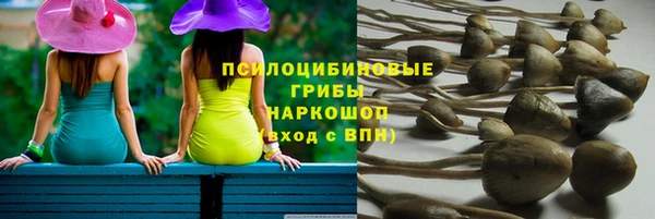 spice Липки