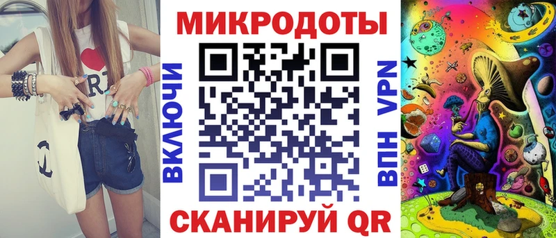 Купить закладки  Каменногорск  Псилоцибиновые грибы Psilocybe 